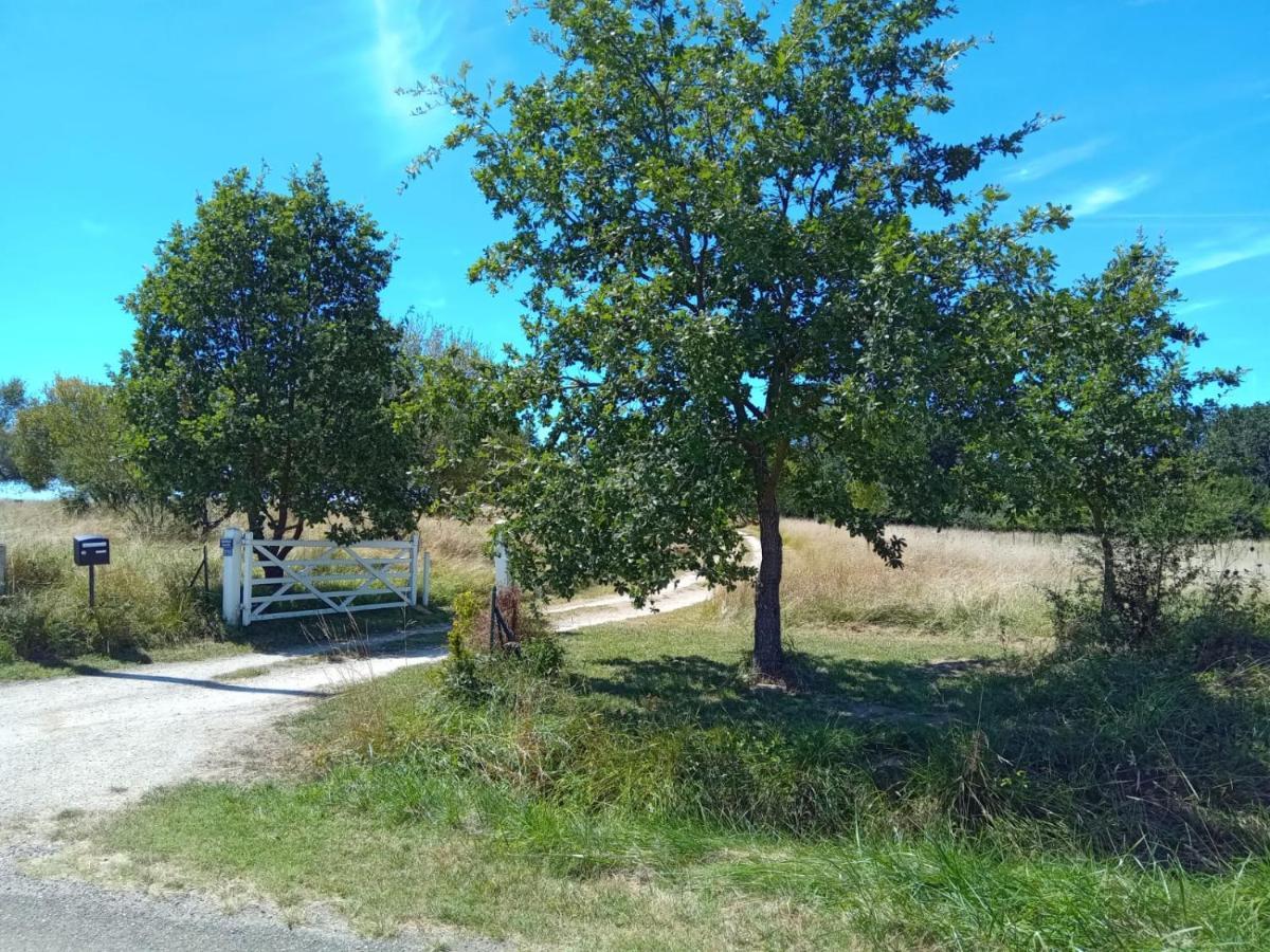 Ferme Ahoco Chambre D'Hotes Residence D'Artistes Lavit Exteriör bild